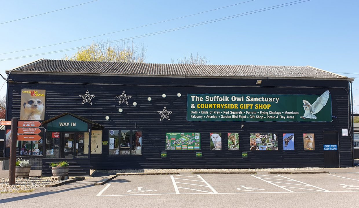 suffolk owl sanctuary