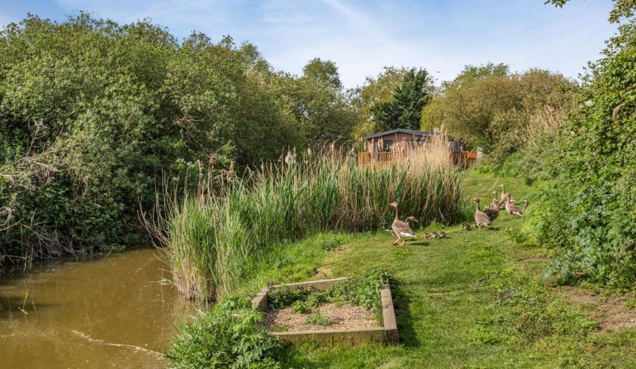 Rental---Tench-Lodge-13